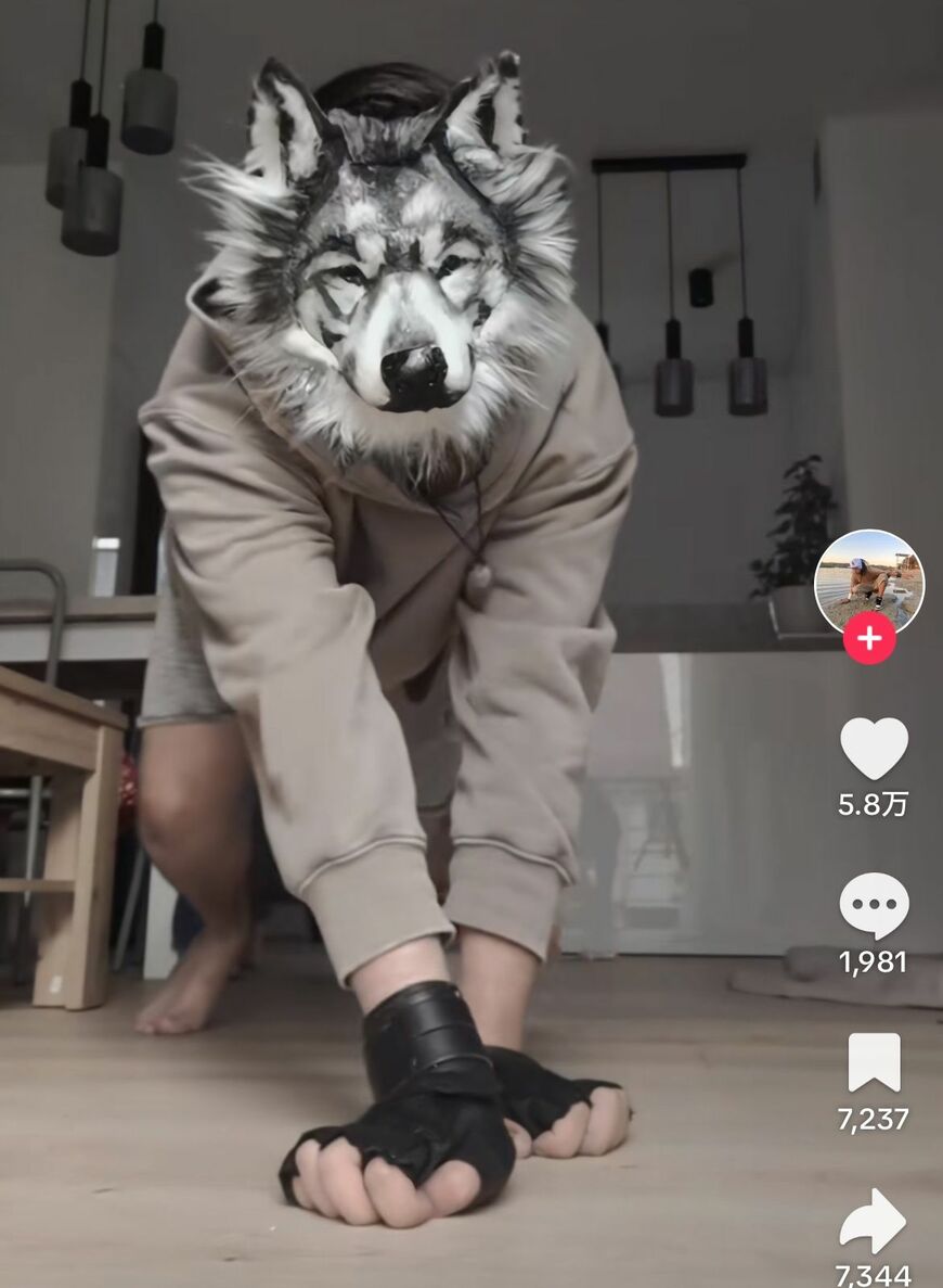 TikTokに投稿された動画（写真：TikTokより）