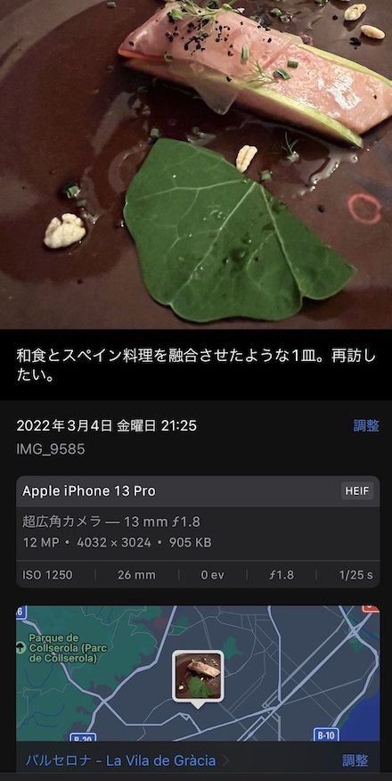 写真を上にフリックすると表示されるキャプション欄に、説明書きを加えておくことが可能だ（筆者撮影）