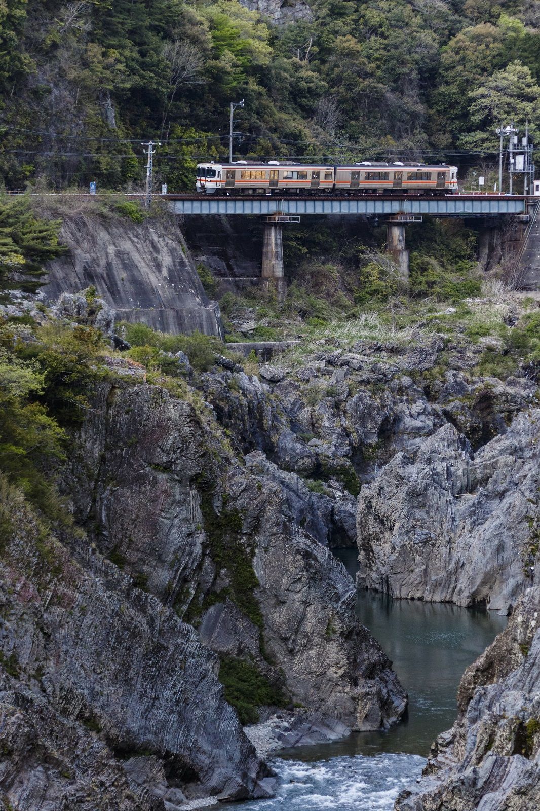 飛水峡をゆく高山本線。トンネルが多い分、さまざまな山の風景が楽しめる（筆者撮影）