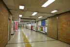 百貨店の東側を回り込むような
