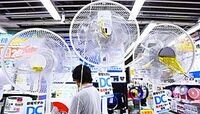 扇風機､DC型人気が起こす価格上昇の風 省エネを武器に家電量販店の売り場を席巻