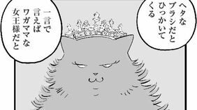周囲に怖がられる｢飼い主をひっかく猫｣が抱えていた意外な"本音" 漫画｢ひろみ猫シッターサービス｣（第8話）