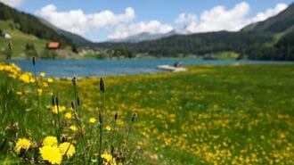 スイスで強まる｢外国人排斥｣､移民制限の国民投票