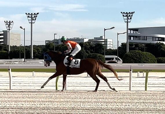スポーツ報知 競馬記者 志賀浩子