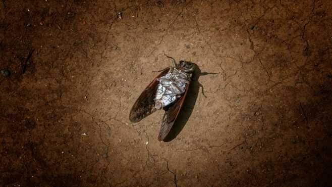 博士課程＝人生終了？｢科学立国｣揺るがす大欠陥