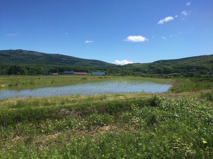 車窓にはのどかな風景が広がる