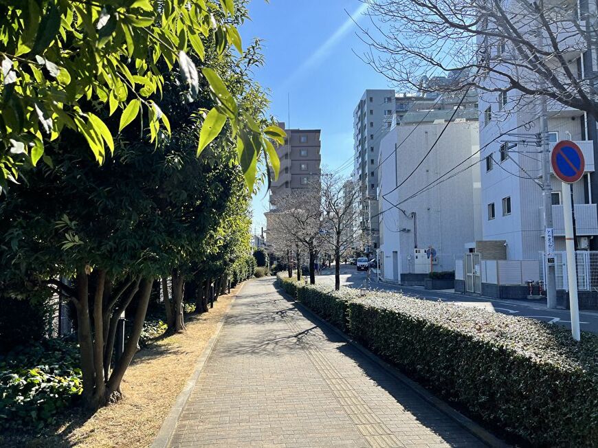 さいたま新都心駅から与野駅に向かう道（筆者撮影）