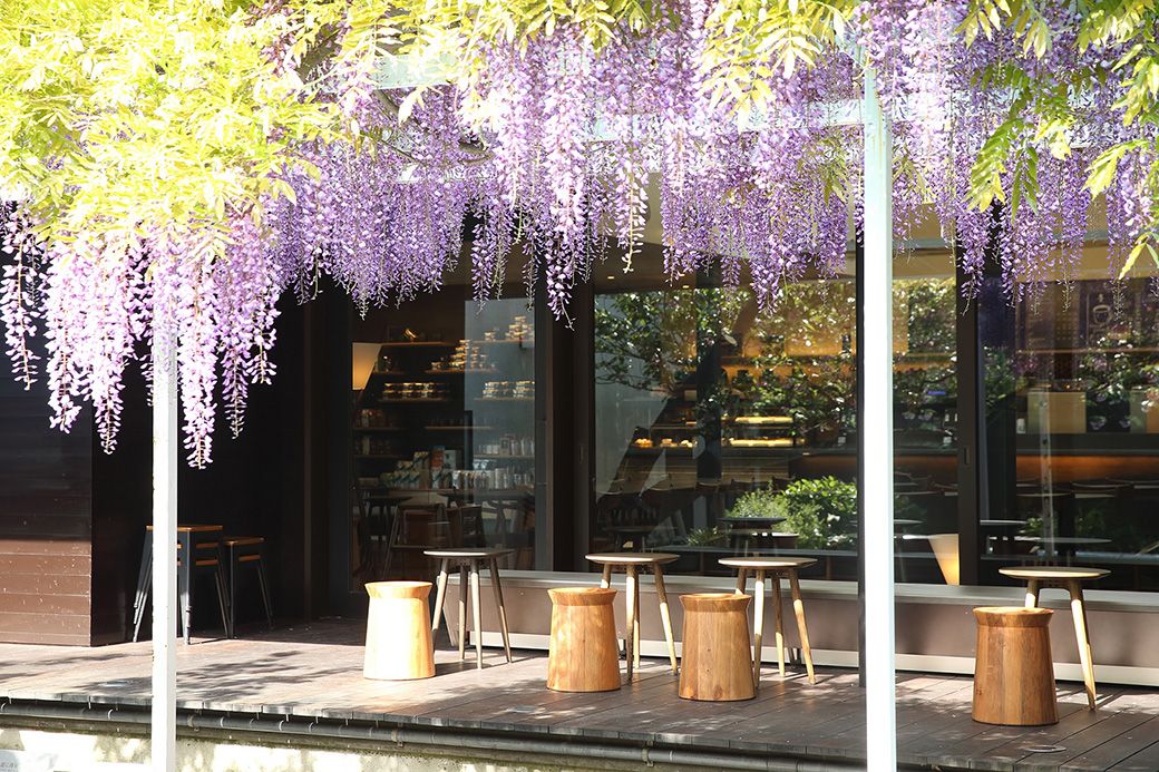 スタバが鎌倉から始めた｢街に合う店｣の正体 景観を損ねず､歴史や文化を尊重して設計 2ページ目 | ビジネス | 東洋経済オンライン
