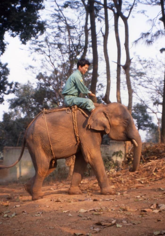 ごかつら池どうぶつパーク