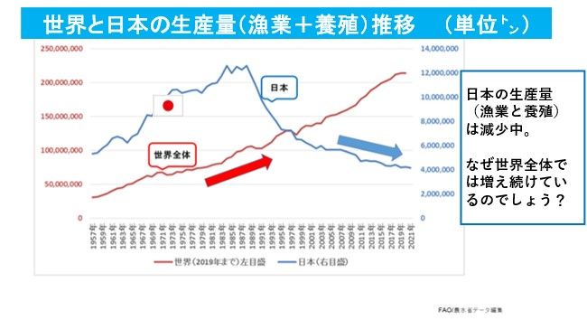 （出所）農水省データより筆者作成