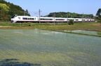 水田を横目に走るE657系