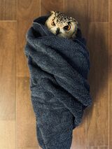 （写真提供：ゲンさん）