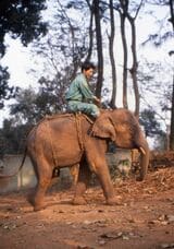 ごかつら池どうぶつパーク