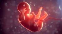 ｢生命の起源｣その解明の鍵を握るものとは何か