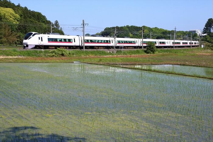 水田を横目に走るE657系