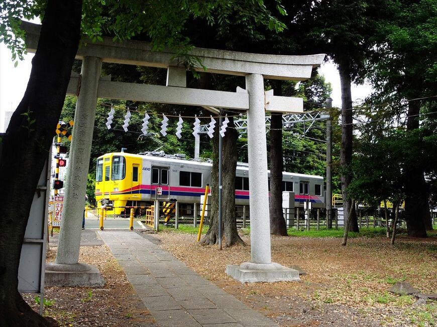 競馬場線を行く事業用車デヤと総合高速試験車DAX。「京王帝都電鉄寄進」の鳥居と（撮影：南正時）