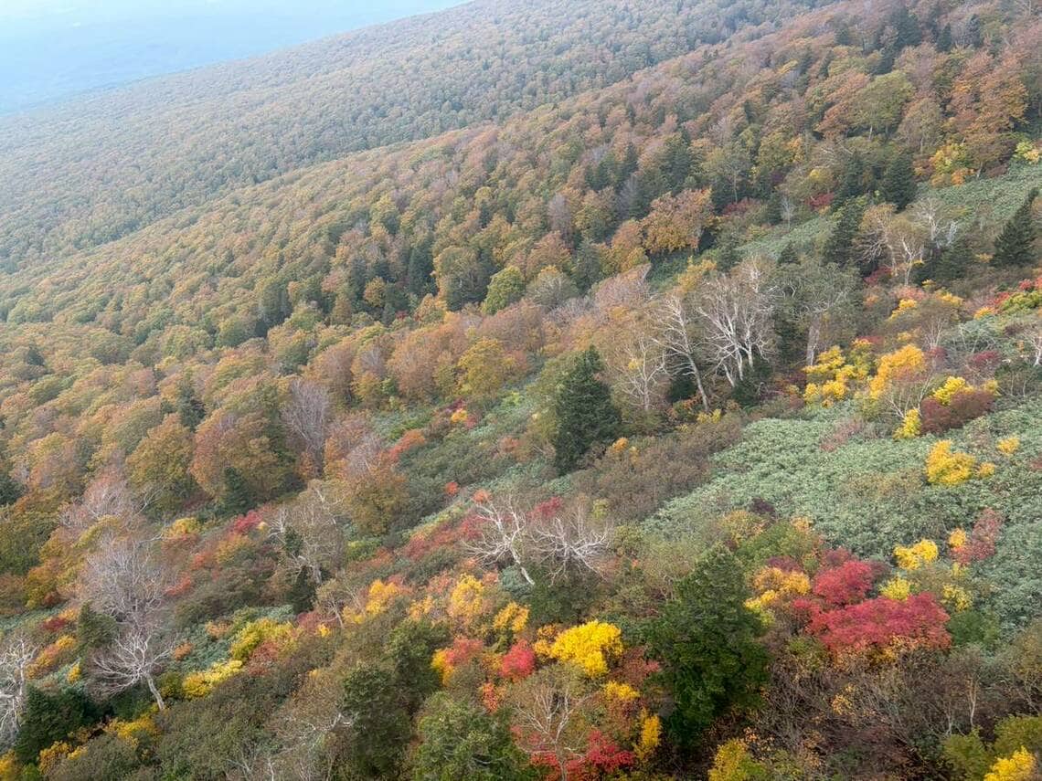 一足先に。八甲田山の紅葉（写真：筆者提供）
