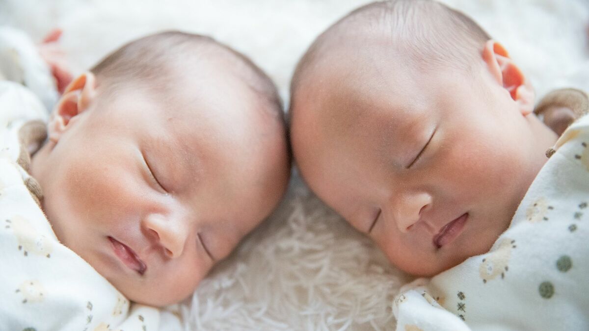 ｢遺伝はタブーではなく事実｣DNA研究が示す現実 | 先端科学・研究開発 | 東洋経済オンライン