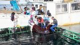 カツオ漁船にカタクチイワシを販売している様子。バケツでカタクチイワシをすくい、カツオ漁船に渡す（著者撮影）