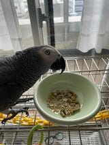 （写真提供：カマタさん）