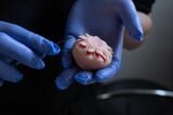 一つひとつ心を込めて、細工を施していく。息がつまるほどに繊細な作業をなめらかにこなしていく（筆者撮影）