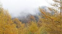 秋登山を考えている人の｢今年特有｣の懸念事情 夏はコロナ禍要因による遭難続出で警戒モード
