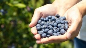 今から約30年前､日本ではまだ馴染みの薄かったブルーベリーを広めるために一役買った《絶妙なパワーワード》