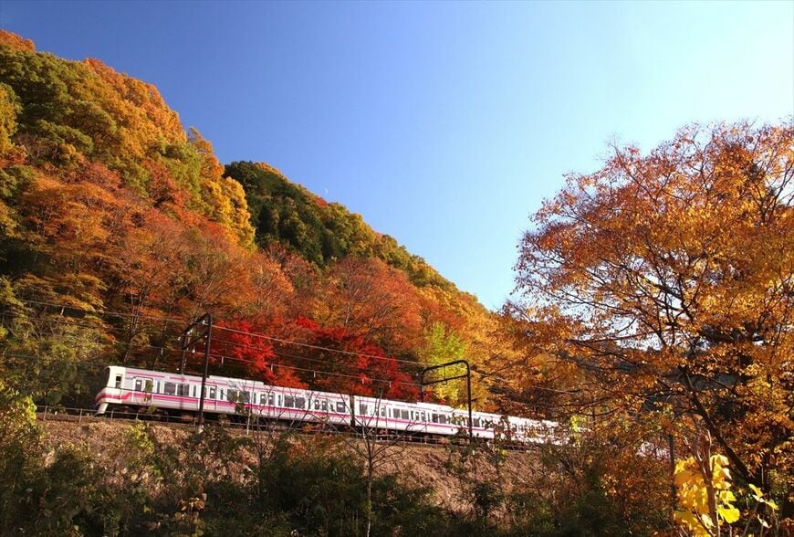 紅葉の高尾線を行く8000系