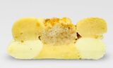 Toporogyで5種類のバタークリームと1種類のスポンジケーキを射出したサンプル（写真：ナショナルデパート）