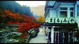 美しい紅葉が見られる「香嵐渓」で撮影されたシーン（©2025映画『ブラック・ショーマン』製作委員会）