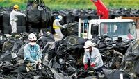 除染費用にも国費投入、東電救済のアリ地獄 機構法に基づく支援の破綻で見直し不可避