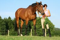 集中力アップには｢3大欲求｣をうまく使え ご飯もトイレも､｢ご褒美｣に変えられる