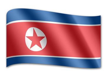 Who is North Korea’s So Tae Ha?