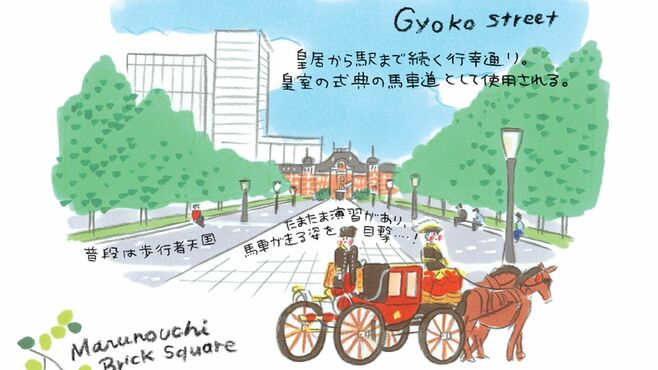 東京駅｢いちょう並木とレトロ建築｣で秋さんぽ
