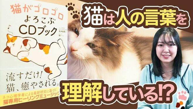 猫が自分の名前も飼い主の声もわかっている…