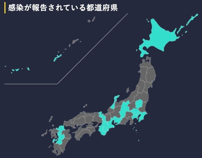 特設ページのスクリーンショットより（随時データ更新と開発を続けているため、現在の特設ページとはデザイン等が異なる場合があります）