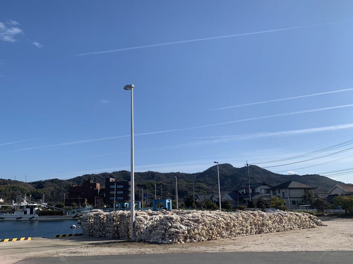 山のように積まれた牡蠣を養殖するための貝殻の束。島ではこれが通常風景だった（筆者撮影）