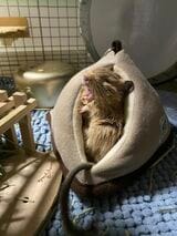 （写真：みきさん）