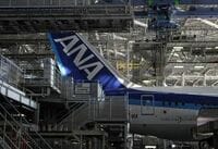 機体に不具合､全日空が一部の国内便を欠航 B787のエンジン部品に不具合