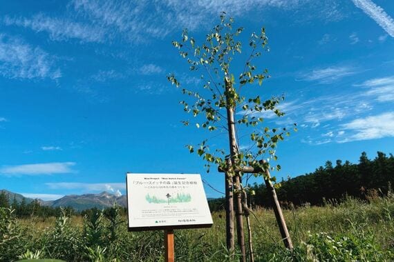 「ブルー・スイッチの森」に植樹されたシンボルツリー（筆者撮影）