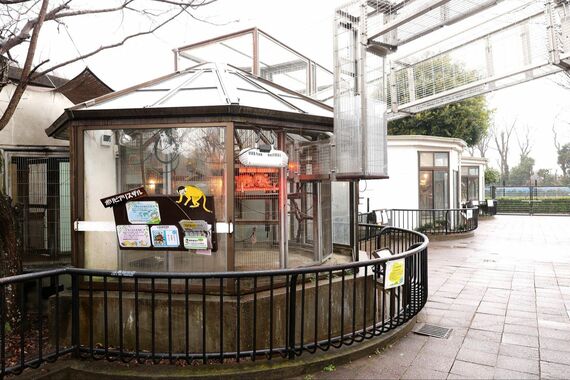 市川市動植物園 おさるーむ