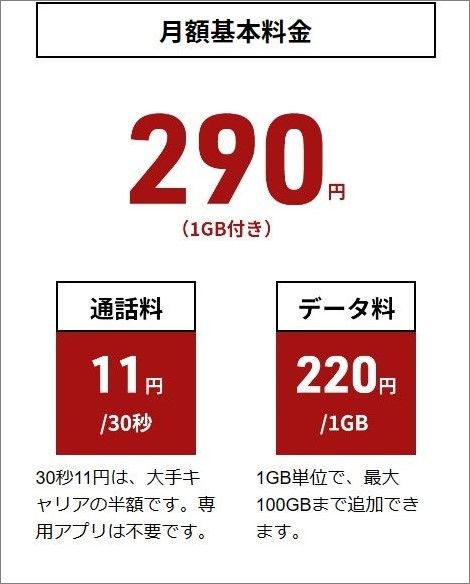 日本通信の合理的シンプル290は、290円で1GB利用できる。eSIMにも対応しているため、バックアップ向き（筆者撮影）