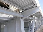 橋の構造も間近で観察できる