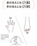 出所：『自律神経にいいこと大全100』