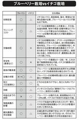 ブルーベリー栽培vsストロベリー栽培