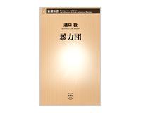 暴力団 溝口敦著