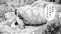 2012年絶滅｢最後の1頭｣になったゾウガメの生涯