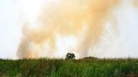 インドネシア火災が及ぼす世界的被害の規模
