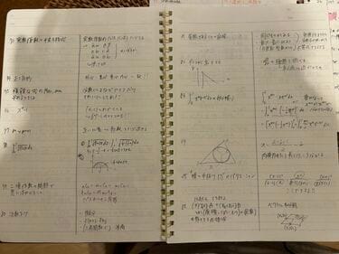 桜蔭→東大理3現役合格》ただの「優等生」では語れない、“飽きる
