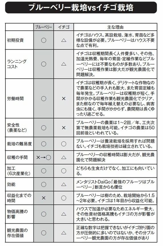 ブルーベリー栽培vsストロベリー栽培